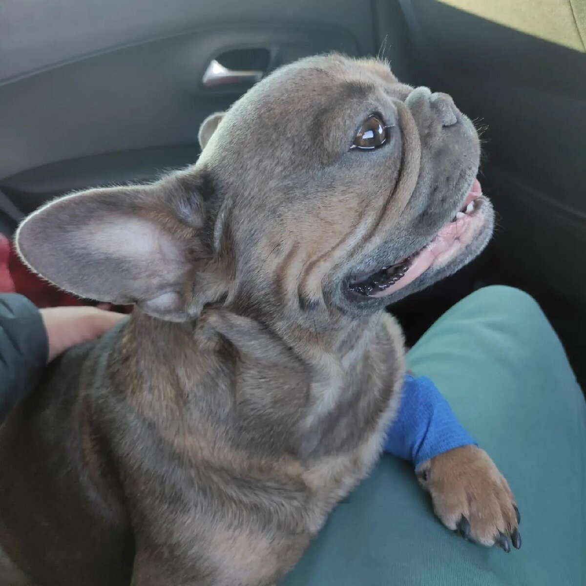 Еду на роды