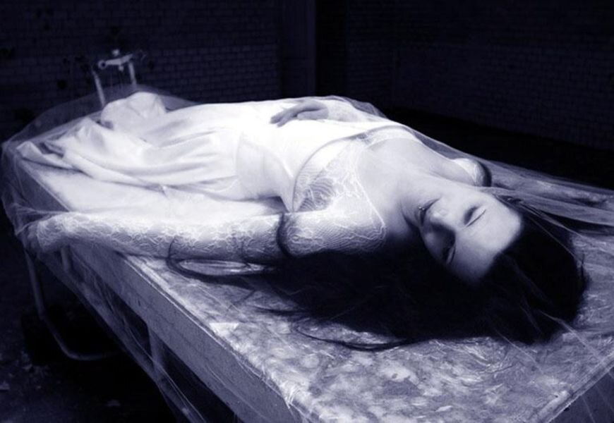 Фото из сети интернет