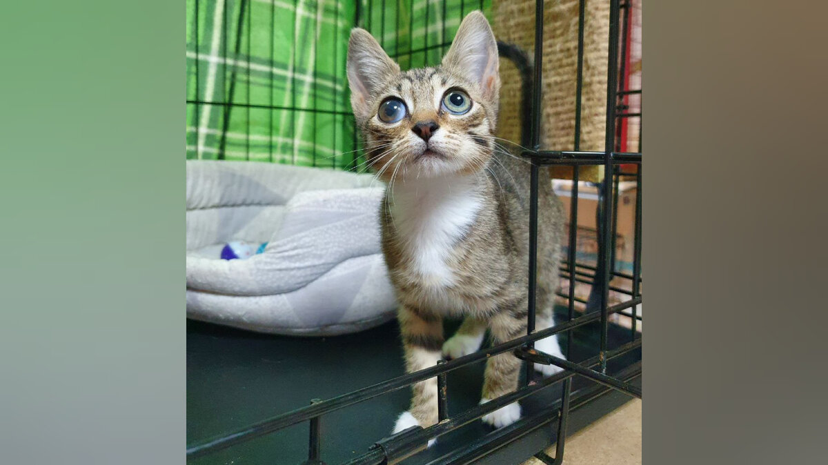 Во взгляде этой крохи - целая вселенная