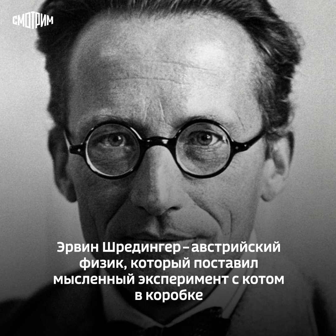 Что означает "Парадокс кота Шредингера"? | СМОТРИМ | Дзен