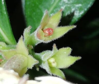 Сюрприз! Фото из моего личного архива. 