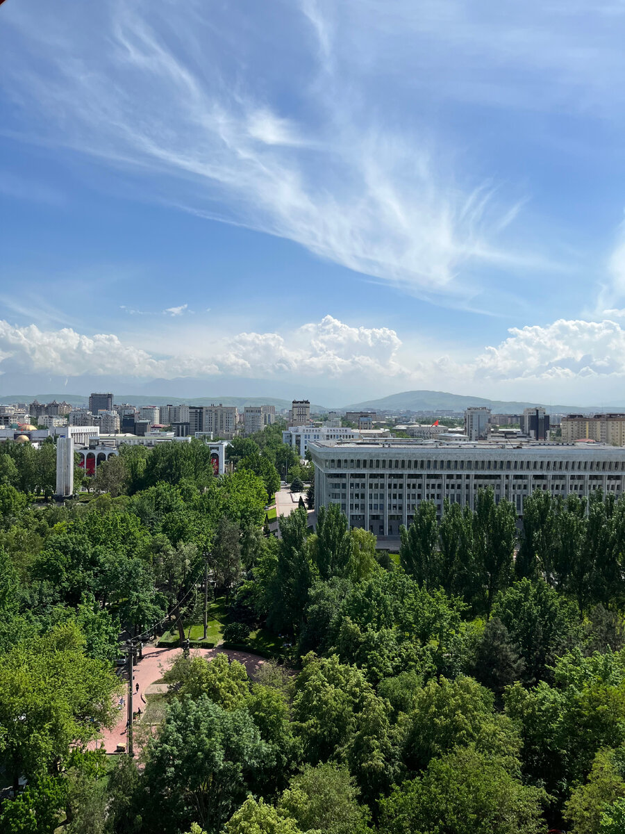 Вид на Бишкек с колеса обозрения.