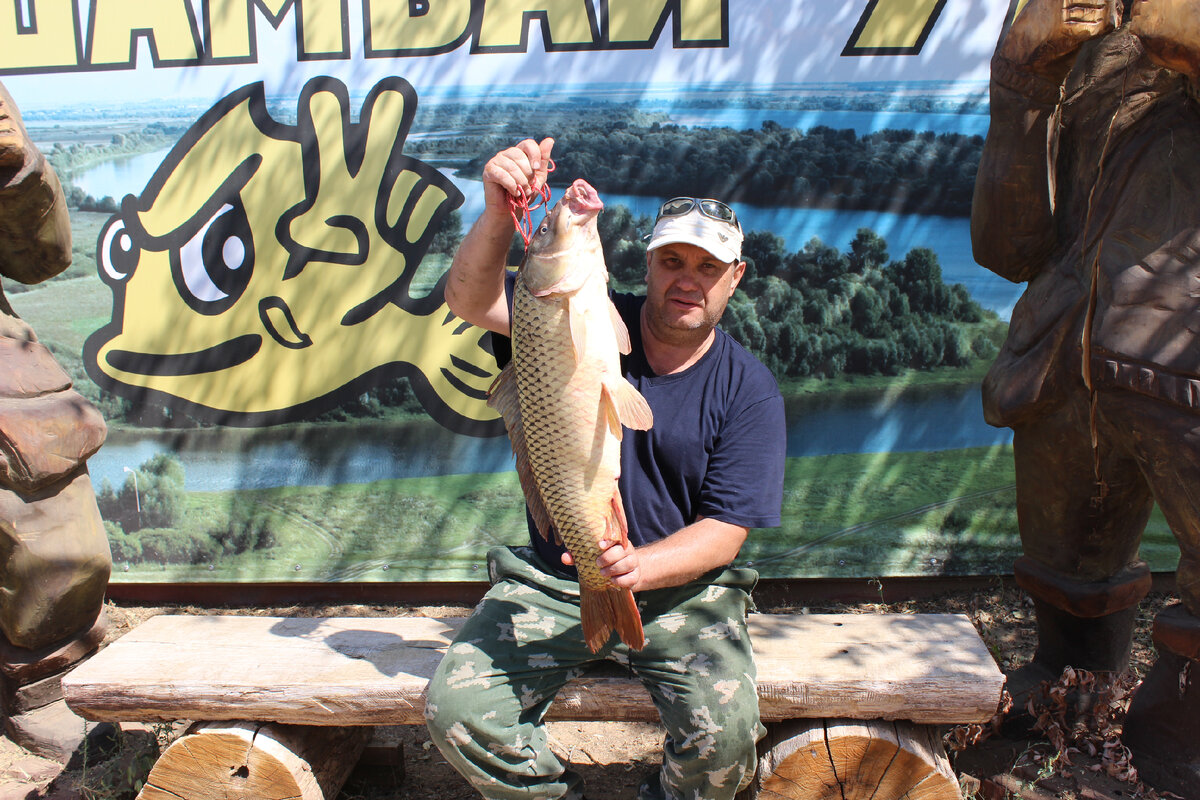 Фото автора. Вот такого сазана поймал Олег.