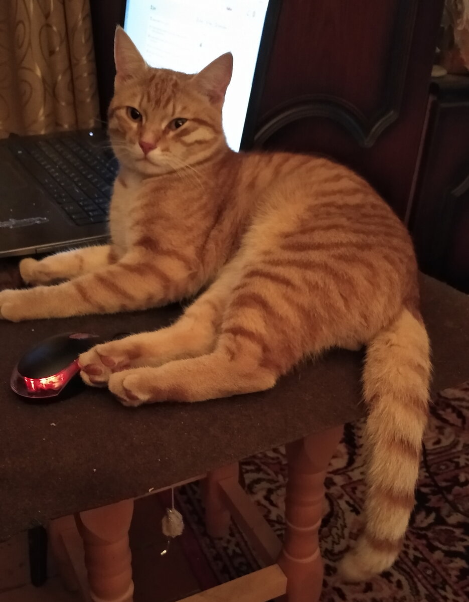 Личное  фото