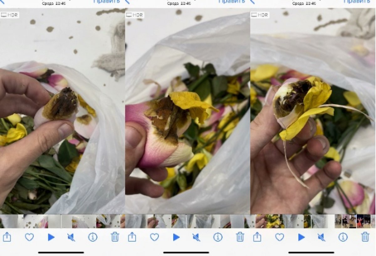    Новосибирцу в магазине продали букет из гнилых цветов