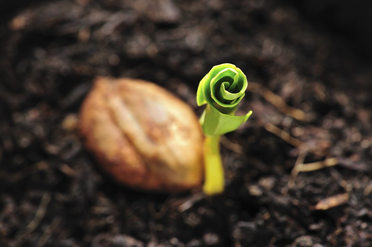 Фото из интернета