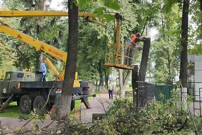    Во время непогоды ствол дерева лопнул и уперся в металлический забор. ©Мария Андрюхина Фото