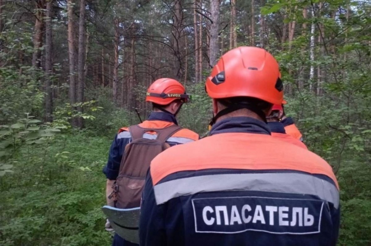    В Красноярском крае спасатели ищут двух мужчин, которые пропали в лесах