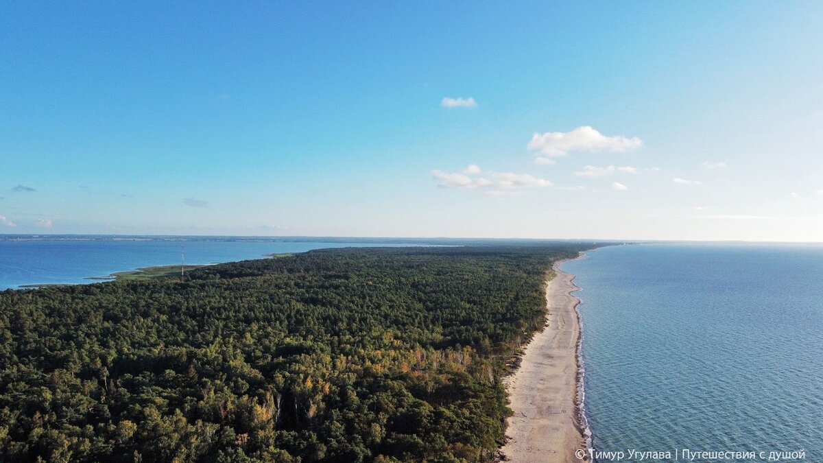 Куршская коса места для бердвотчинга