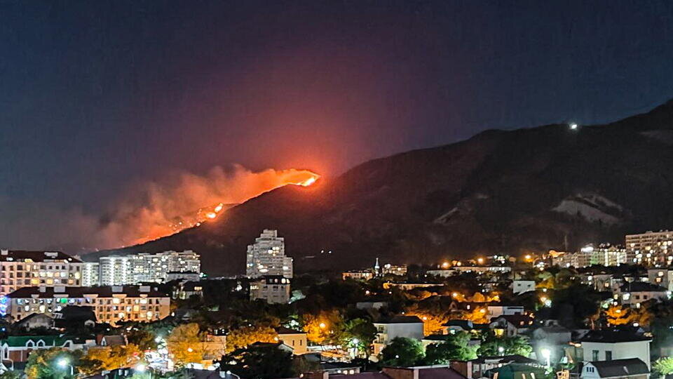 Фото: © ТАСС/Андрей Храпов