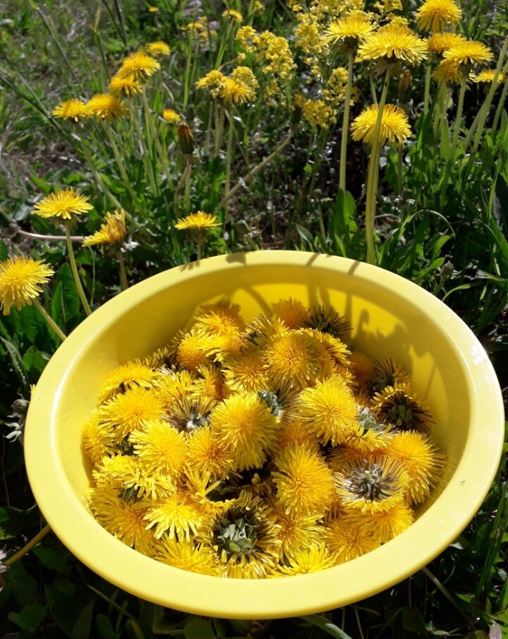 Такой солнечный натюрморт получился!