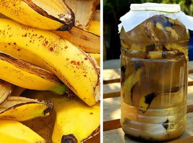 фото из открытого источника