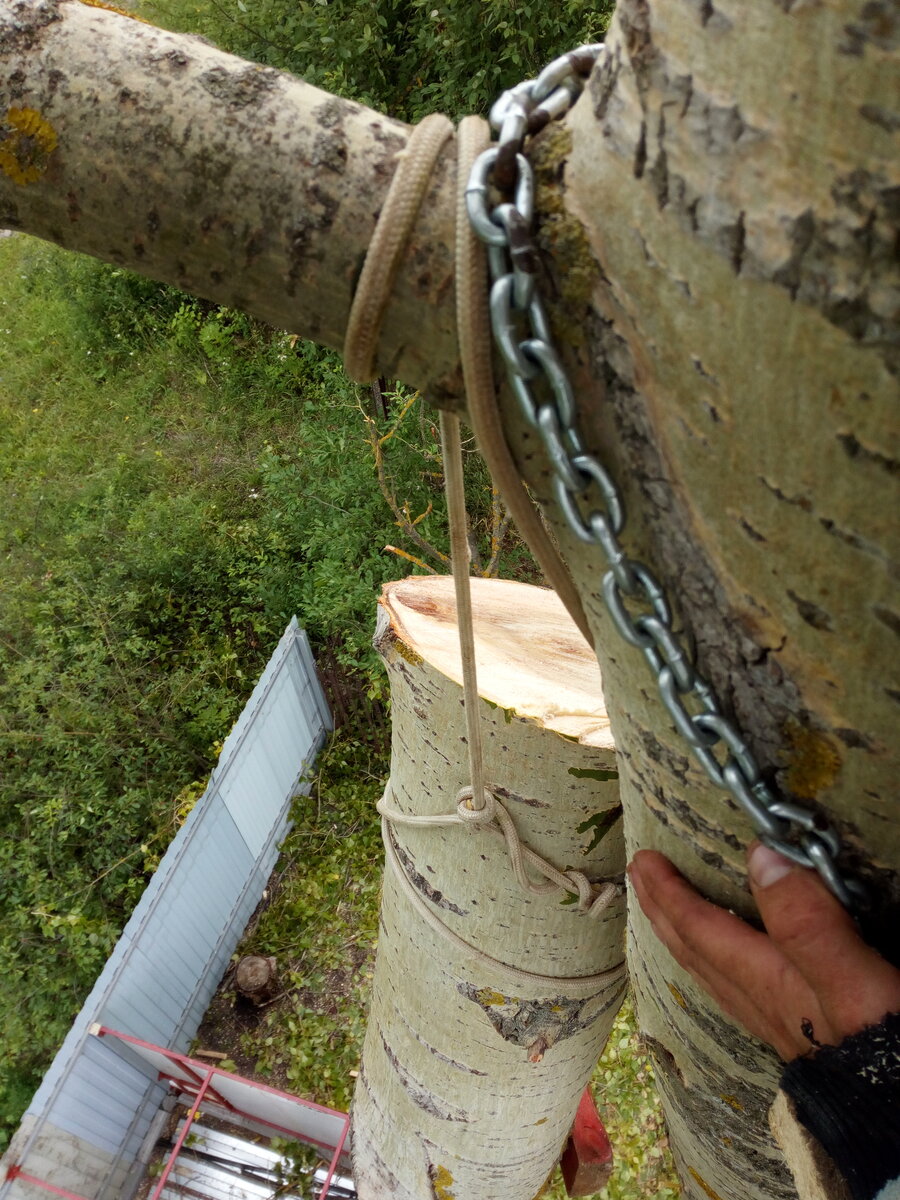 как срубить дерево дота 2 фото 33