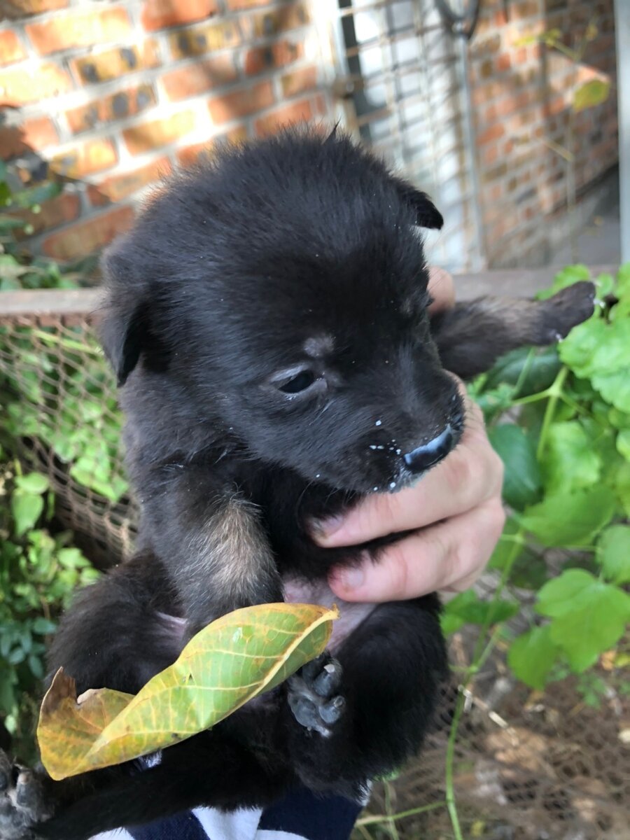 На этом фото первая встреча и первое знакомство с моими новыми родителями. Я боюсь, но стараюсь быть милой. 