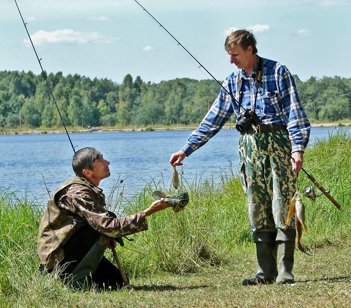 Популярные статьи