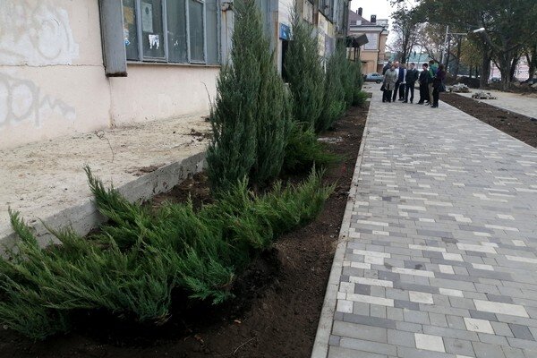 По проекту, обновленный Петровский бульвар должен стать не только удобным для прогулок и отдыха, но и насыщенным зеленью уголком.