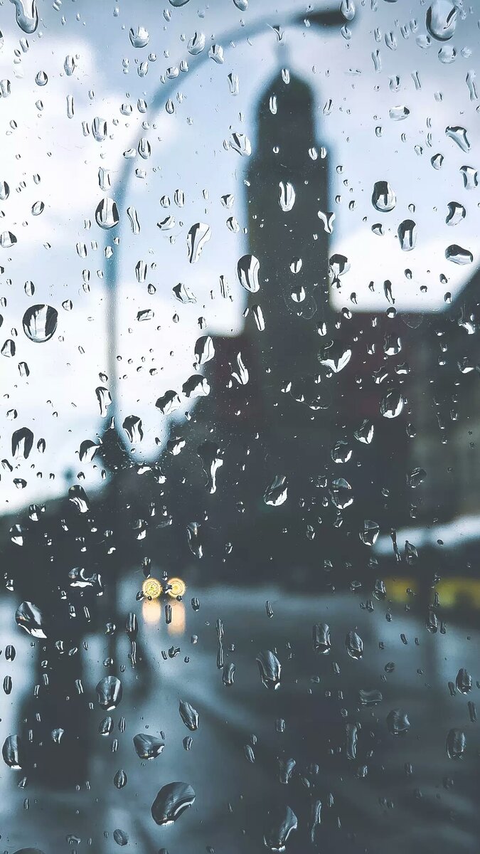 Фото взято из интернета