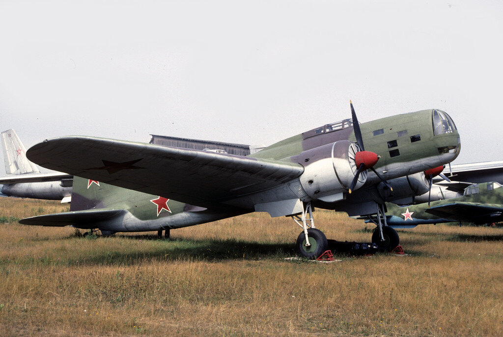 Фотография взята из открытого источника