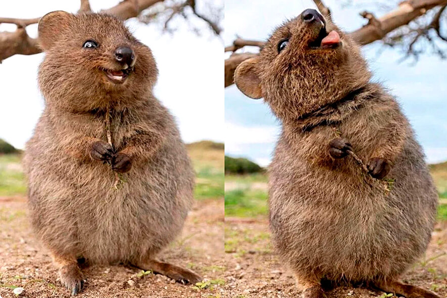 Фото из открытого источника 