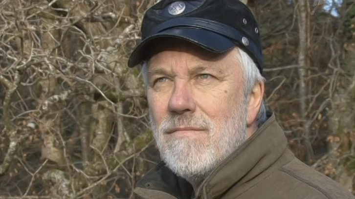 Фото в свободном доступе