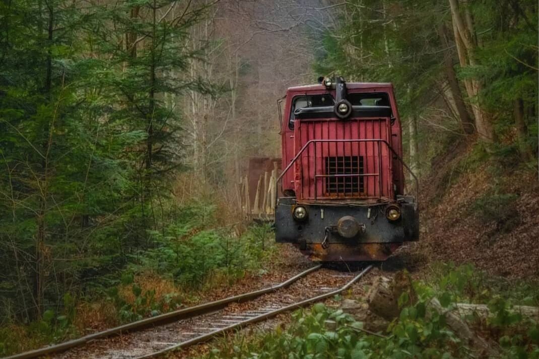 Узкоколейный тепловоз ТУ8-0364 на перегоне Дубовий Кут-Соболь, Ивано-Франковская область, Украина. Автор снимка: Rils