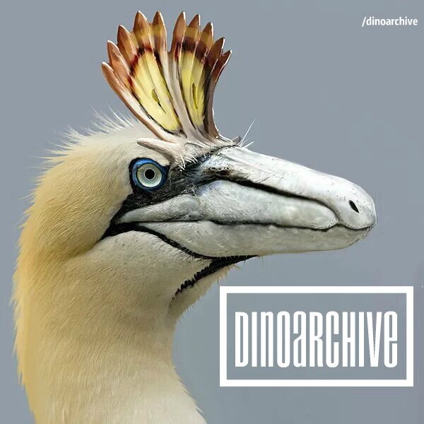 Диноархивы