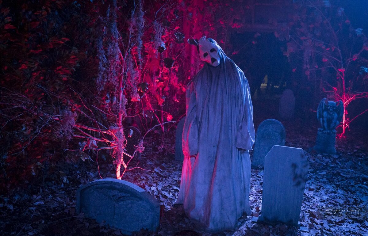 Из свободных интернет источников.