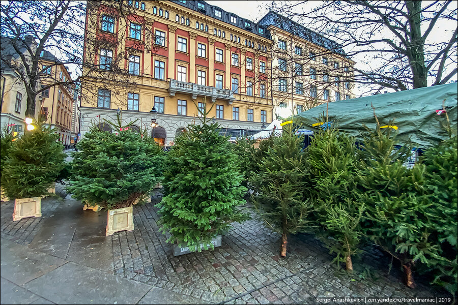 Сколько стоит новогодняя елка и гномик с большой шишкой между ног в дорогущей Швеции