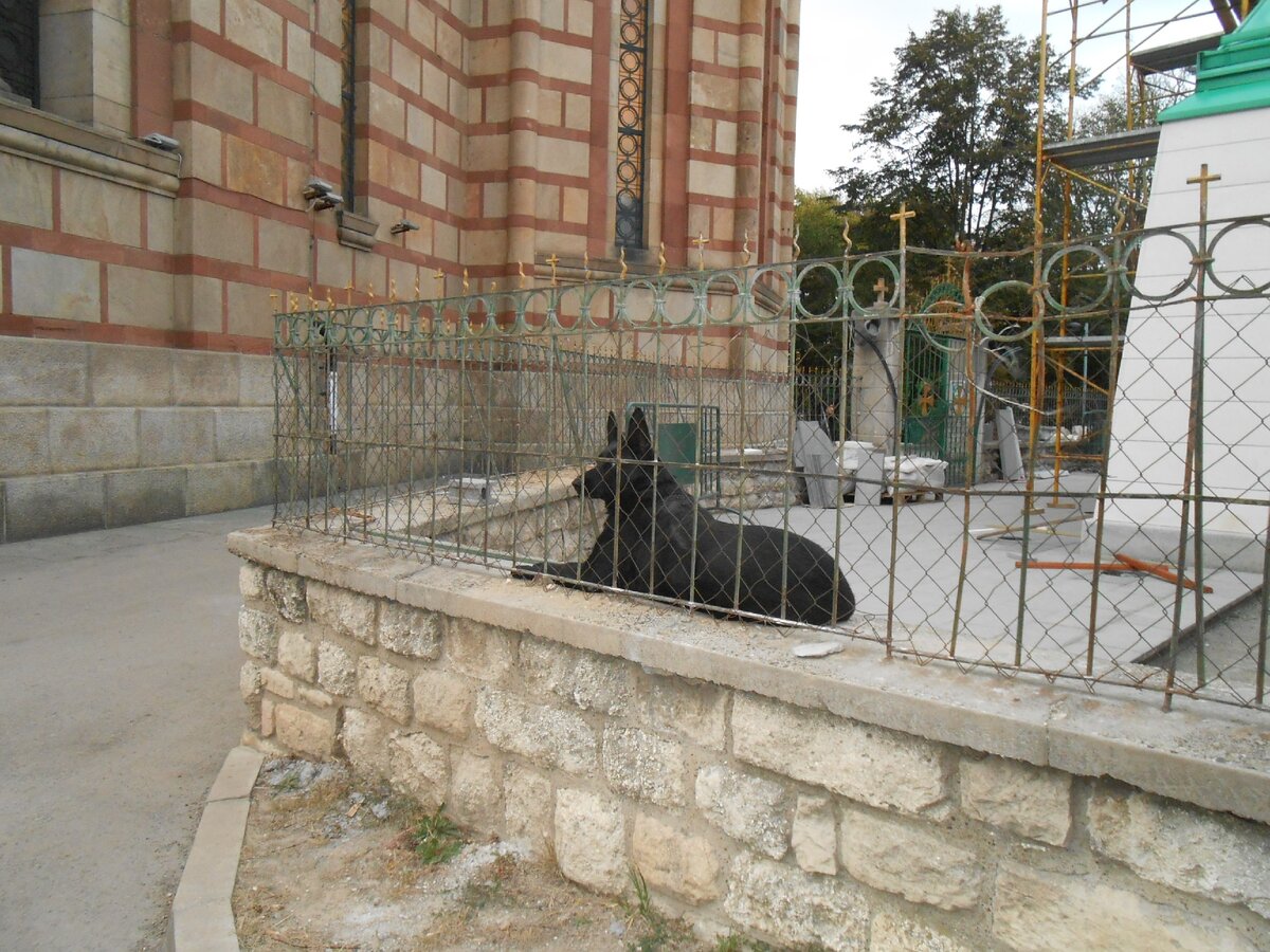 В карауле...