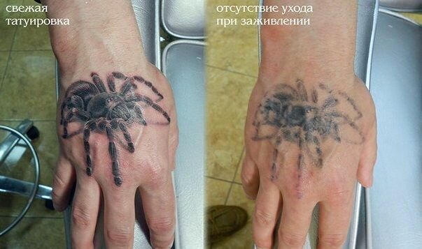 Данный пример взят из интернета, так как в данный момент нет возможности сфотографировать своё тату. Но могу сказать одно, у меня не лучше.