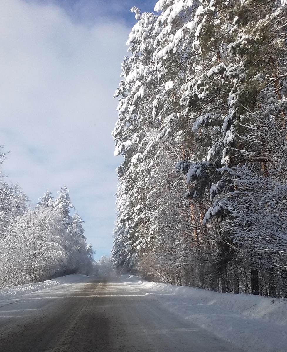 Дорога от дома до школы и детского сада  (личное фото)