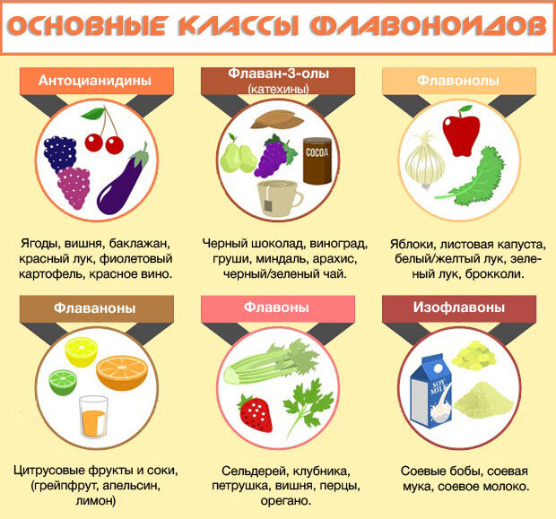 Нейробиологам удалось обнаружить, как можно затормозить старение этого участка мозга. Защитниками памяти оказались флавонолы (разновидность более привычных нашему уху флавоноидов) из какао-бобов. Известно, что они улучшают межнейронные соединения в гиппокампе у мышей – теперь то же самое удалось показать и для человеческого мозга.