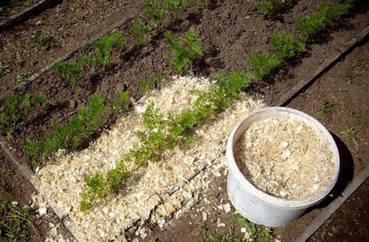 Фото с сайта vasha-teplitsa.ru