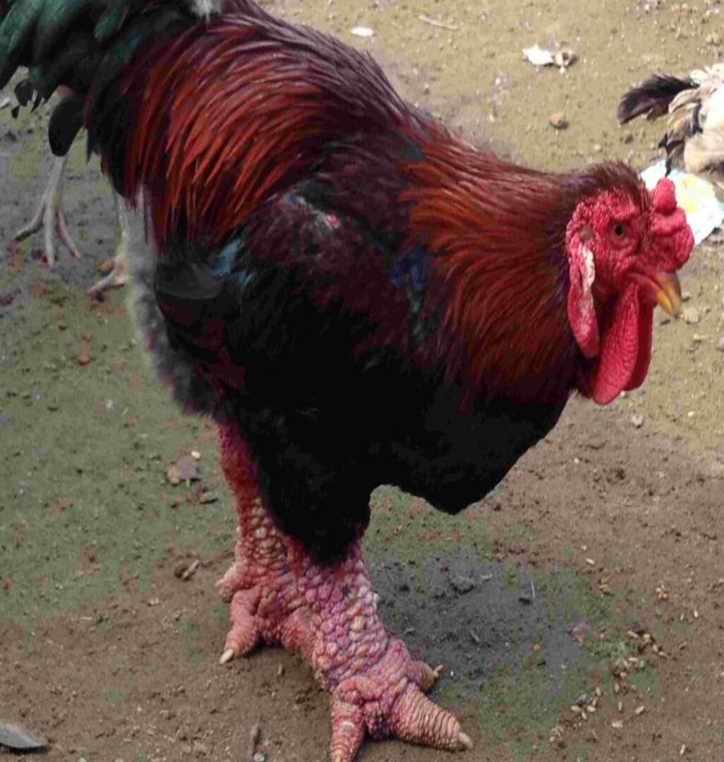 Источник - flickr.com