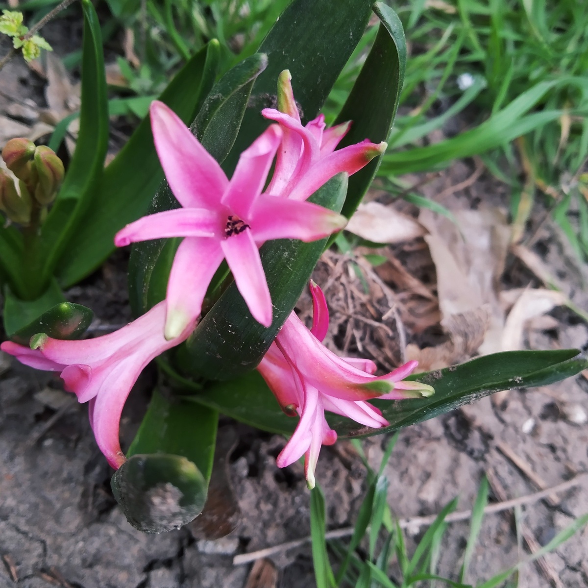 Всем хороших выходных))))