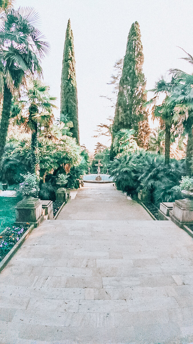 Парк Дендрарий в Сочи