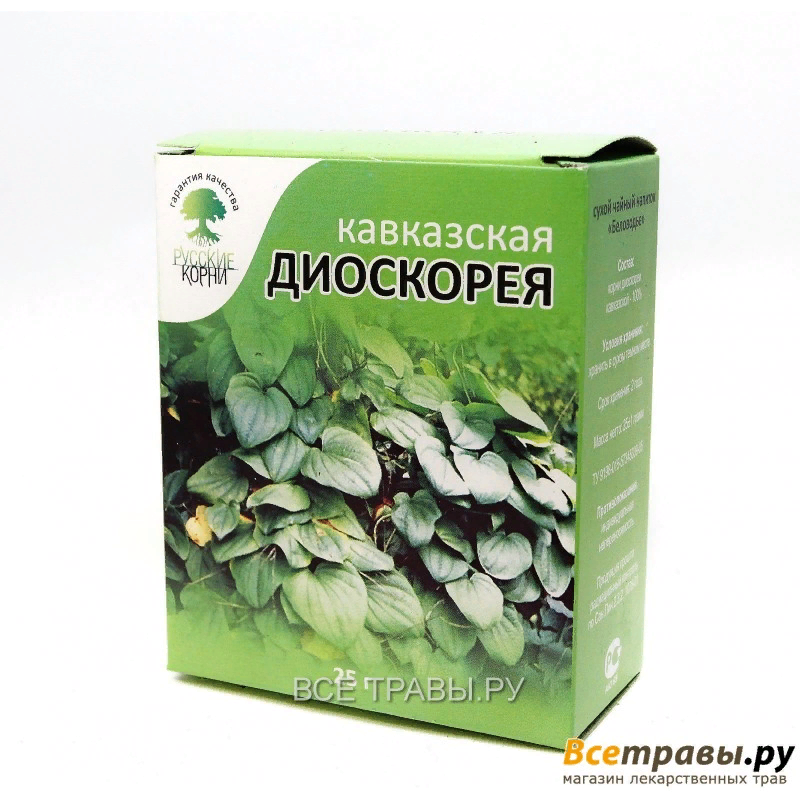 Диоскорея кавказская