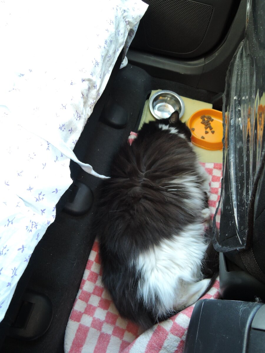 Покушали - можно и поспать!