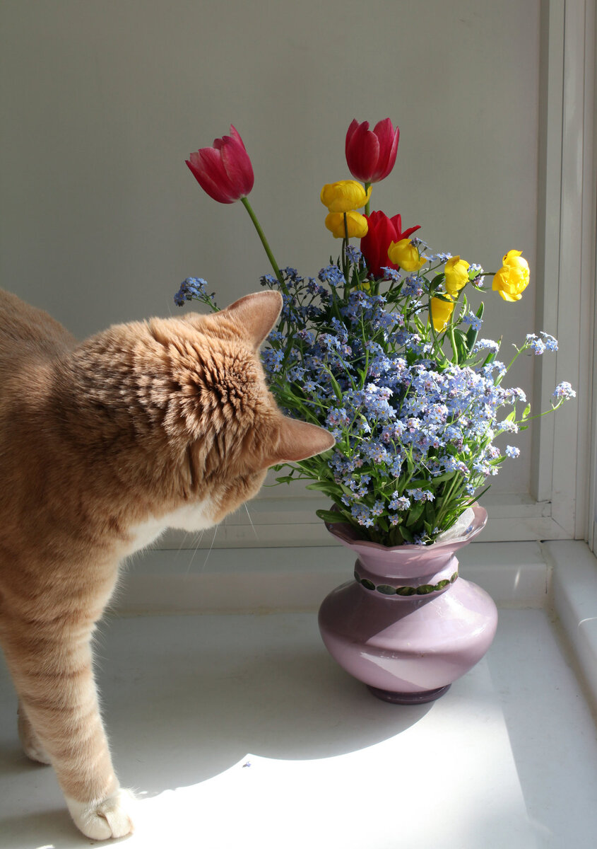 Источник:Яндекс.Фото