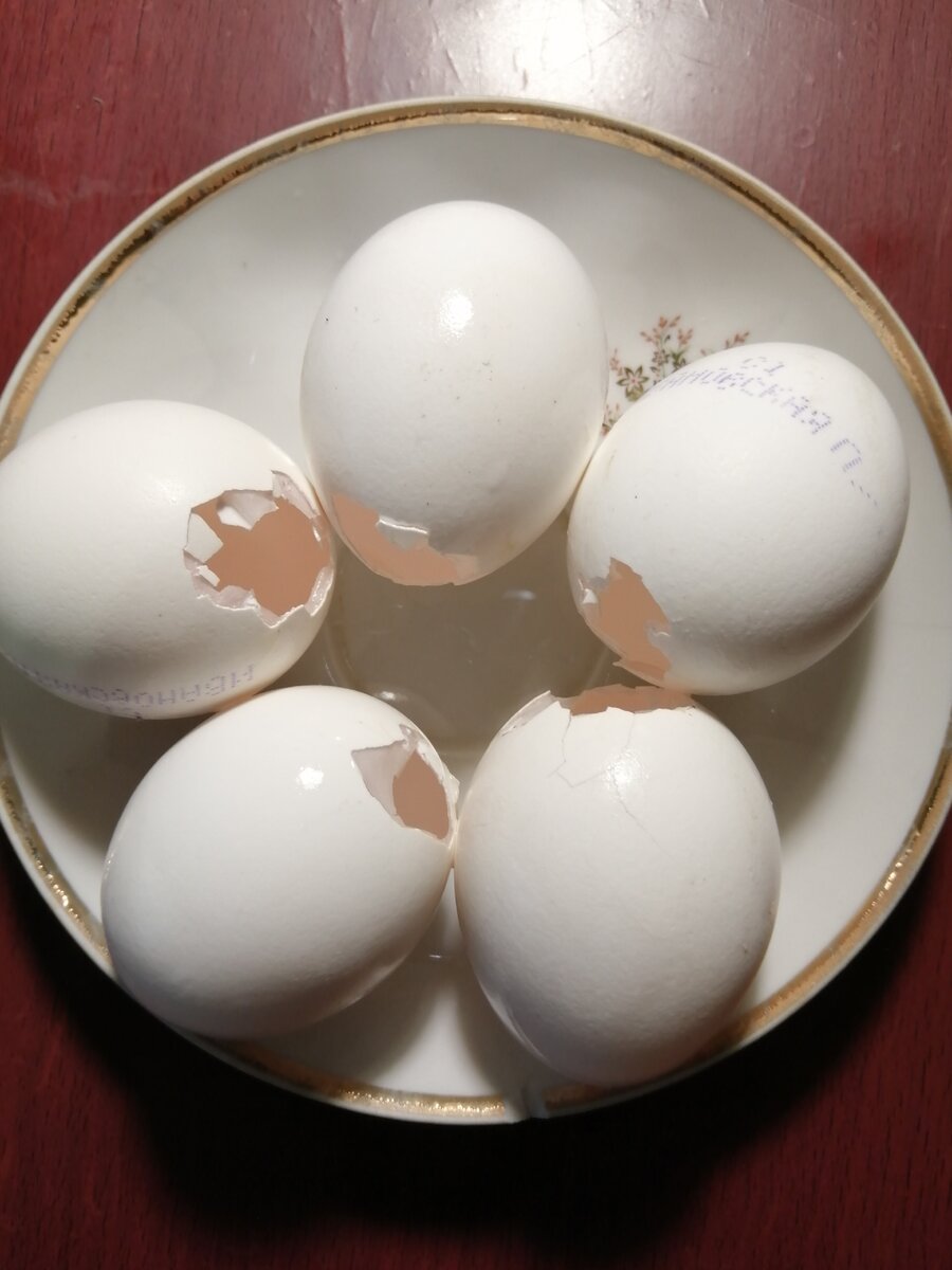 Как сделать заготовку для пасхального яйца