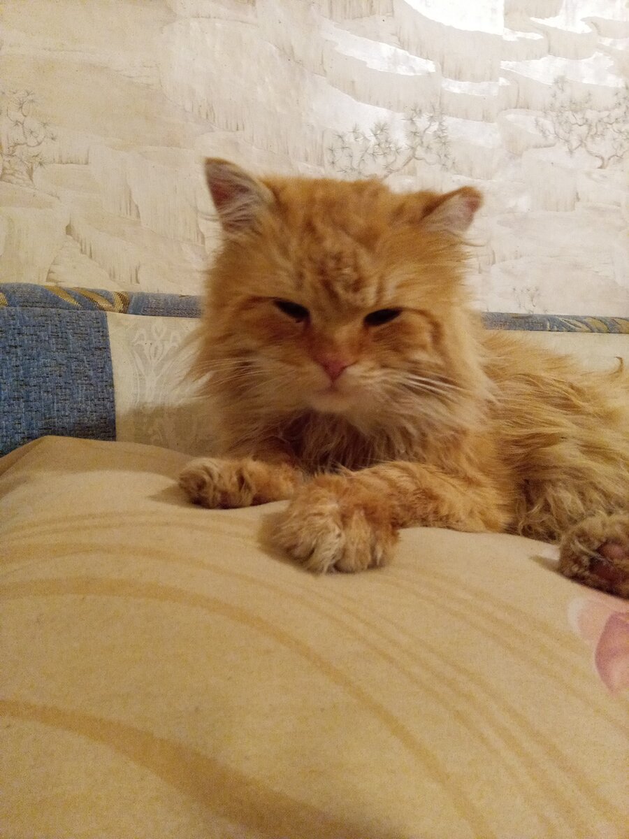 Персик