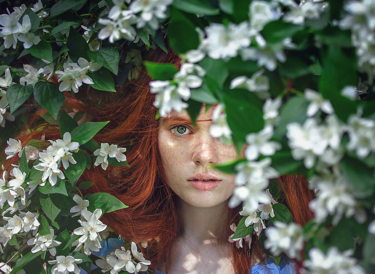 Фото: pixabay