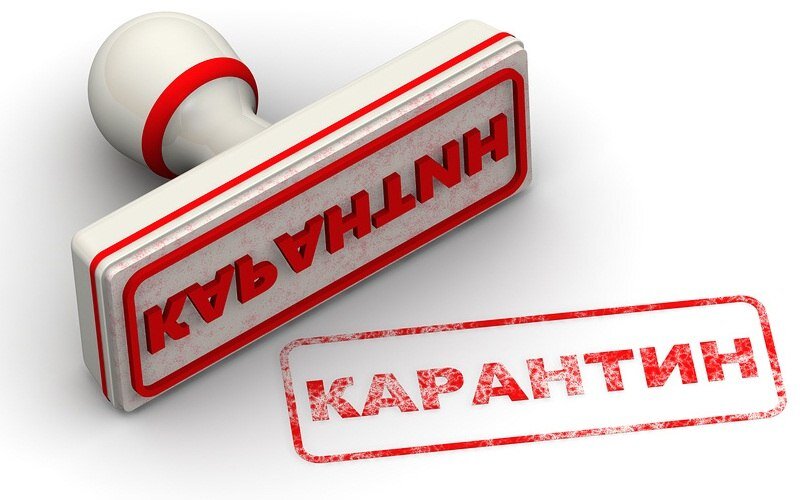 Фото с интернета 