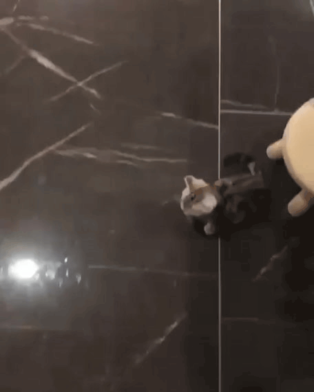 Нажми на картинку, чтобы посмотреть видео. Источник: Ютуб.