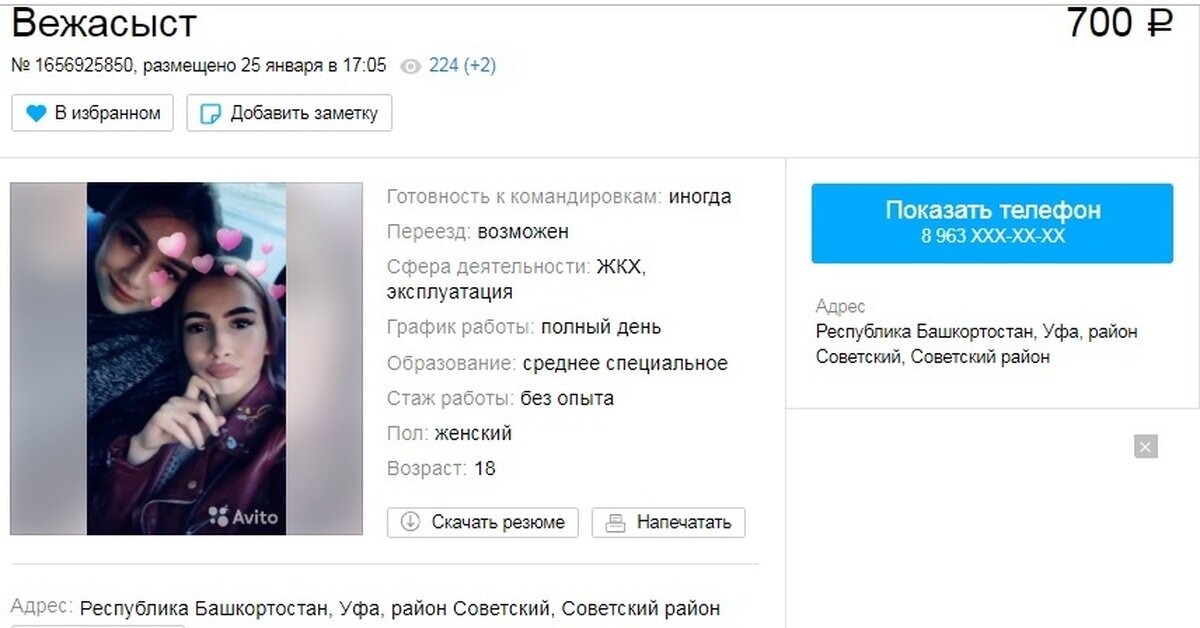 Образец резюме на авито - 93 фото