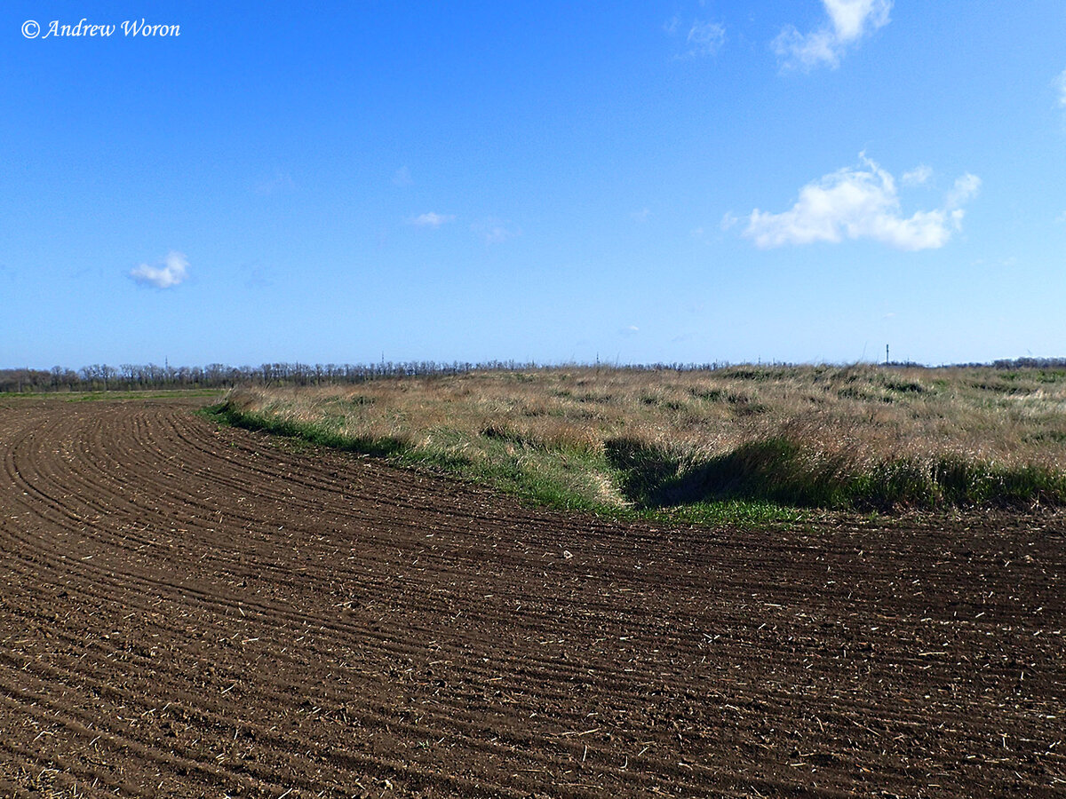 Край курганной насыпи