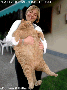 (гифка взята из общего доступа)