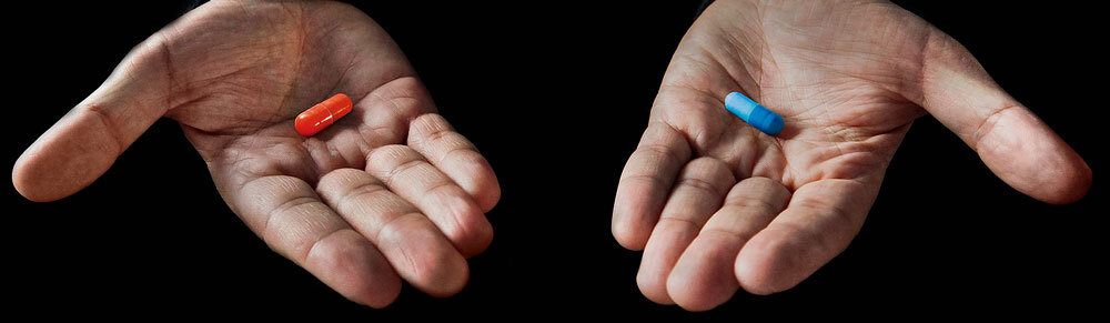 Тест: чередующиеся гласные в корне. Справитесь?