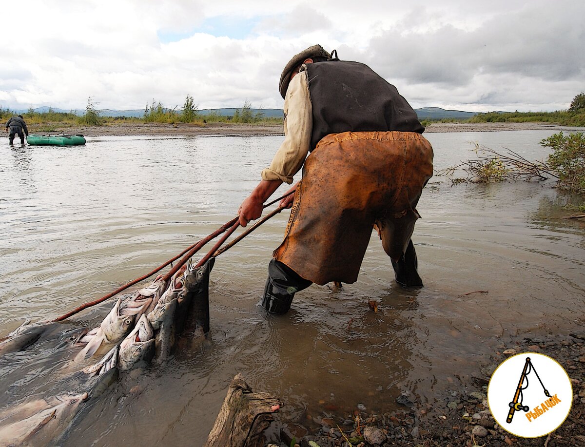 Морда — древнее приспособление для ловли рыбы