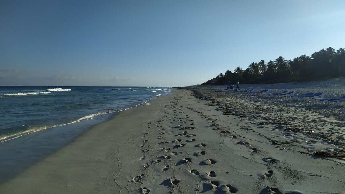 8 утра, а уже натоптали! Это утренние бегуны наматывают свои километры. Им тут есть где разгуляться и разбежаться.